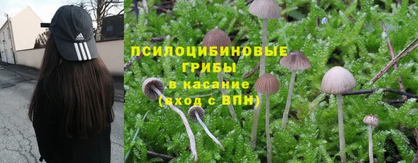 прущий лед Лагань